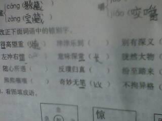 箪醪投川打一生肖，为，是哪个生肖？