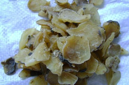 一、 “解表”与“利水”的辩证统一：麻黄与香薷的药理协同