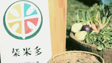 9月种菜吉日有哪些？11月农场改写吉日是哪天？