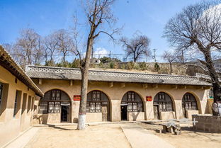 # 青年旅社 # 背包客青年旅社 （50元/床位）