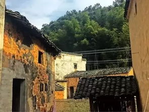 常瑞泽：金水相生， 猪水瓶座