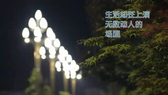 二、 现象解析：较深层原因与潜在作用于
