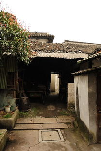 1. 合法性与建筑规范冲突