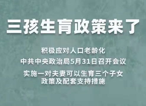 三、 政治领域地位与权力行使
