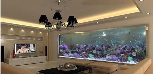 鱼缸水脏了是否会对家居风水产生不良影响呢？