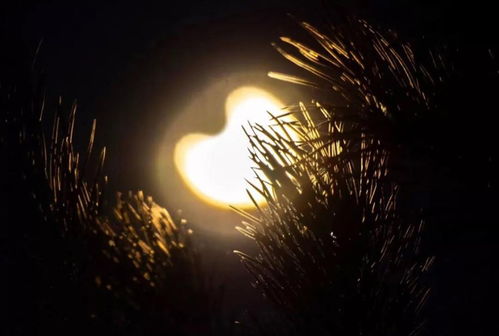 独特的自然奇观