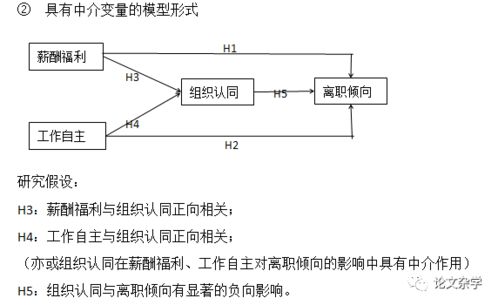 地支的固定嵌入及其时间段维度