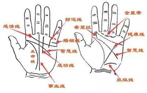五、 今后趋势：互联网时代下对生育话题关注度持续升温