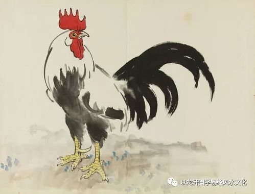 属鸡女2026年全年运势如何？属鸡女的2026年运势怎么样？