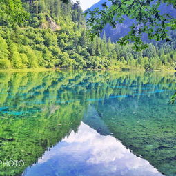 惯与那些所谓的美食陷阱与真正的人间美味