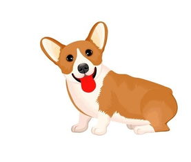 属狗的人性格特点有哪些不同之处？