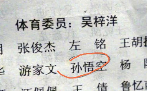 一、  姓氏概率与内含暗示 (哦哟，这开头就有点玄乎)