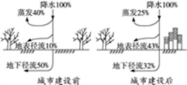 一、 四象齐全：自然要素的整体平衡