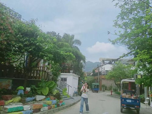 中心公园 - 都市里的菜市场！