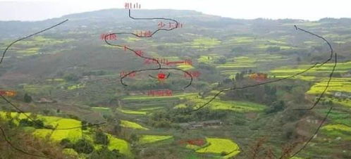 秦皇岛地区风水学术概况