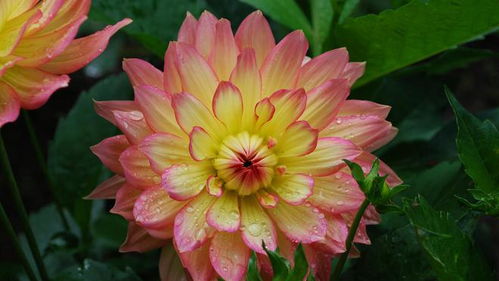 12月份有哪些星座受益匪浅，有胆有谋，开拓进取？