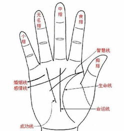手相中事业线如何判断个人事业发展？