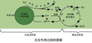 一、 过去整体持续发展吉凶之定位方法概述