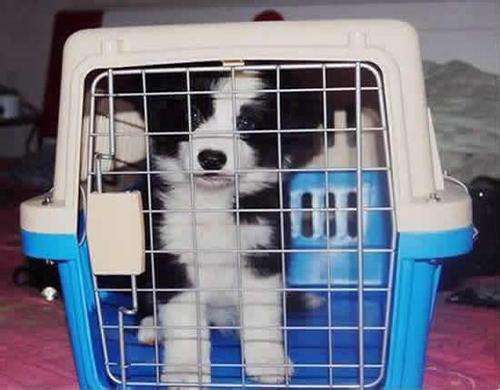 二、取件流程！啊啊啊好复杂！（真的要崩溃了）