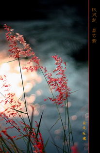 1．草木之“观测”
