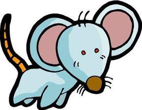 2026年属狗全年运势和属鼠佩戴饰物分别是什么含义？