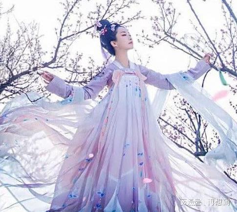 D. 色彩斑斓的印花汉服：商女的风采