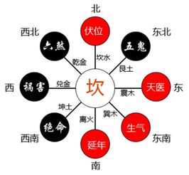 己巳时的吉凶分析