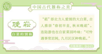 给你们一下：如何选择一个好名字？