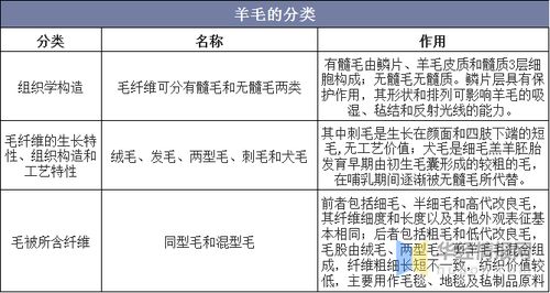 环境清洁与方位优化的重要性
