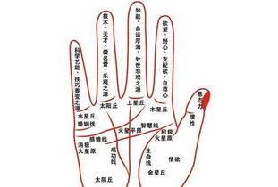 3. 交汇点及其后续走向