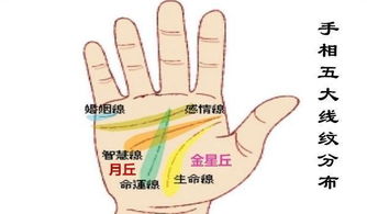 手相命运纹断裂，竖纹看运势，这是否预示着运势的改变？
