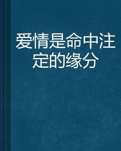 四、 纳音五行相生机制对投缘潜力的深度解析