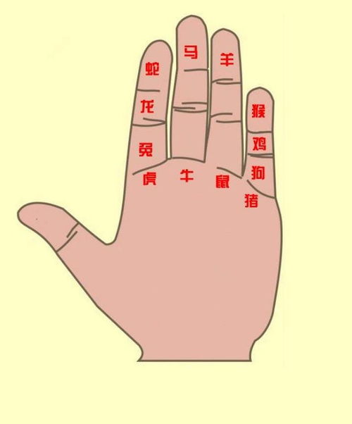 十二生肖与地支之间具体有什么关联和联系？