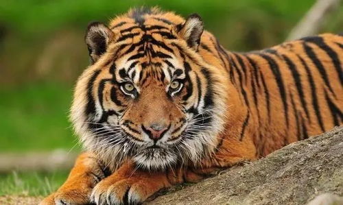 1. 命局结构与五行力量对比