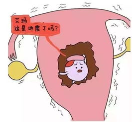 一、 “花胎”概念溯源：历史沿革与文化内涵