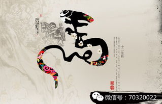 马儿啊你慢些跑！12月8日属马人惨烈运势大揭秘