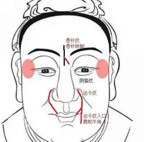 五、 “腾蛇入口”及其对消化系统健康的暗示