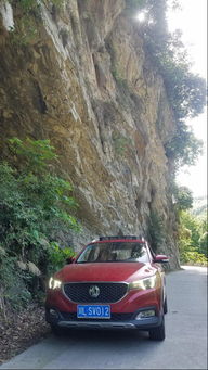 真实案例：张女士的崩溃与重生