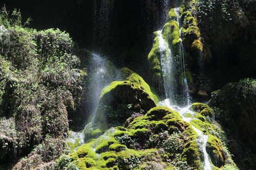 紫江地缝：2026年黄历警告！这破地方千万别去！