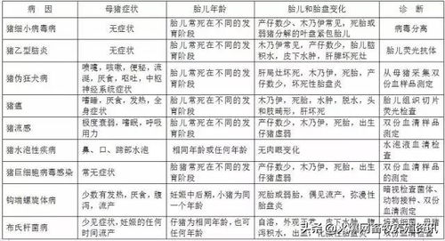 实证研究成果汇总表格（按出现频率排序）：