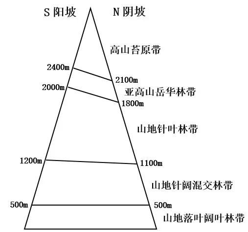 三、 符号学视角下的结构解析