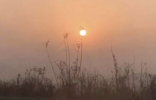 ：风水与国学视角下的诚信价值