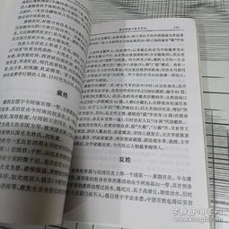 一．导论──姓氏与人生轨迹交织的较大背景