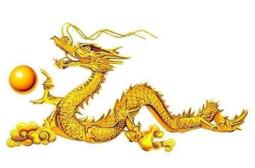 ：生肖龙之财运与贵人关系的学术探讨