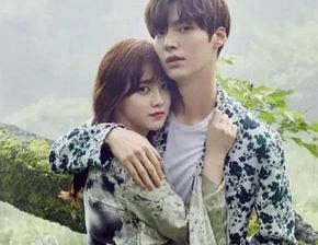 案例分析与实证研究