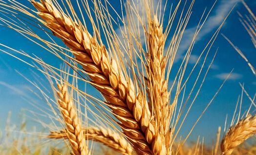 不同人做这梦能气死