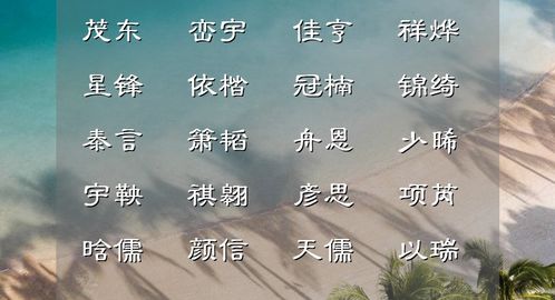 起名攻略（更杂乱！）