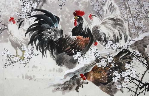 1981年属鸡的人命理分析吉凶如何？