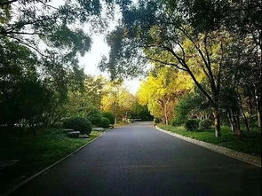 秋天的风有点凉单是心里热乎乎