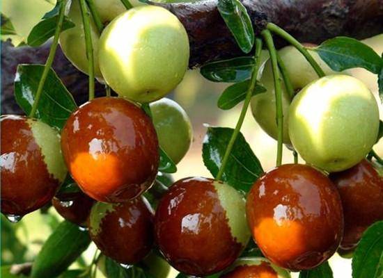 烦死了！烦死了！